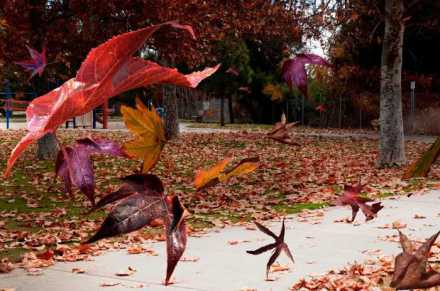 1-autumn-wind-richard-gordon.jpg