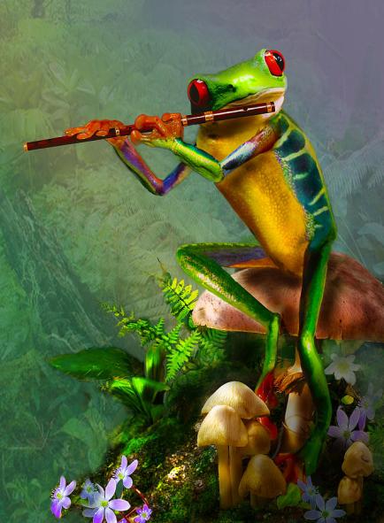 the-flute-playing-tree-frog-gina-femrite.jpg